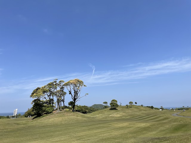 New You Ai Golf Club - Photo 1
