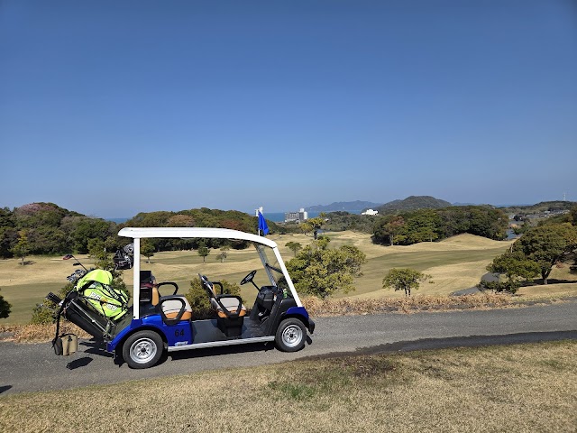 New You Ai Golf Club - Photo 3