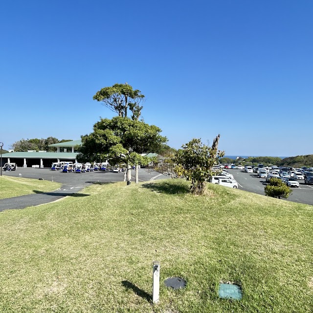 New You Ai Golf Club - Photo 8