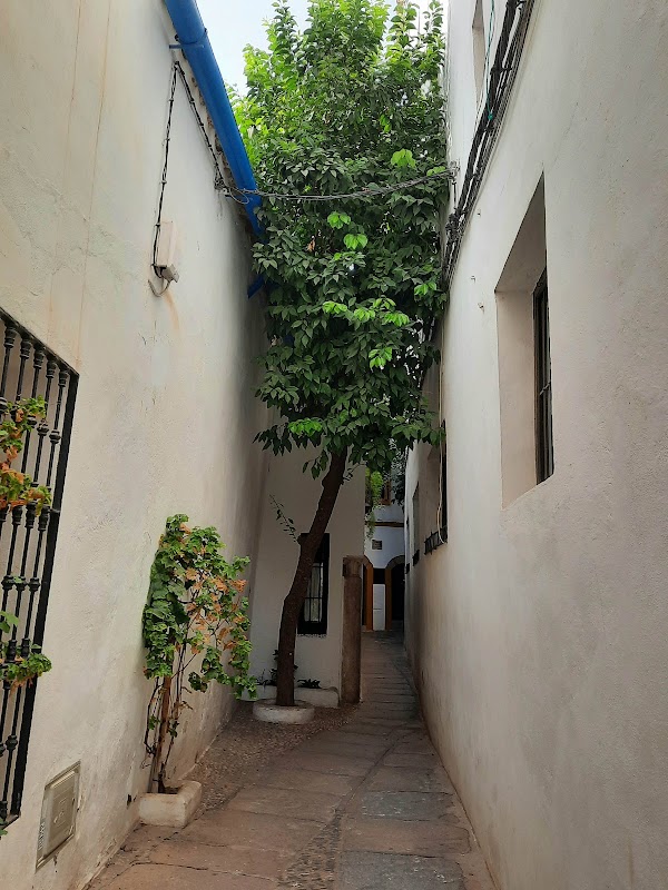 Calle Pedro Jiménez 1