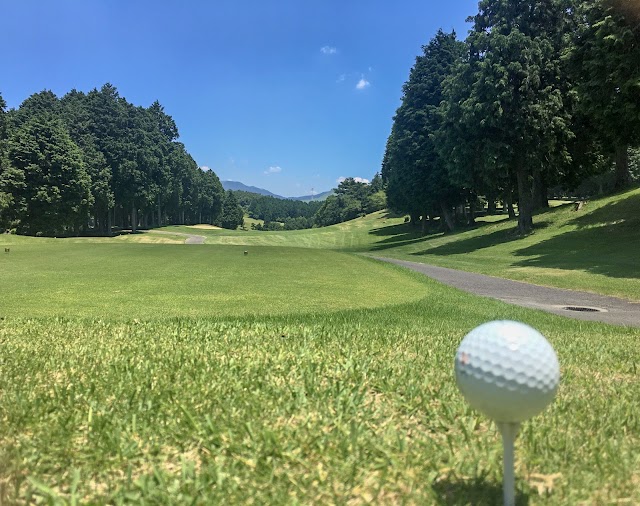 Grand Champion Golf Club - Photo 1
