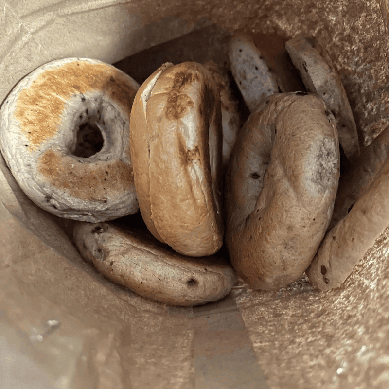 Sarah's Bagel Cafe photo 1