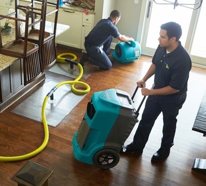 Mold Experts Now — photo