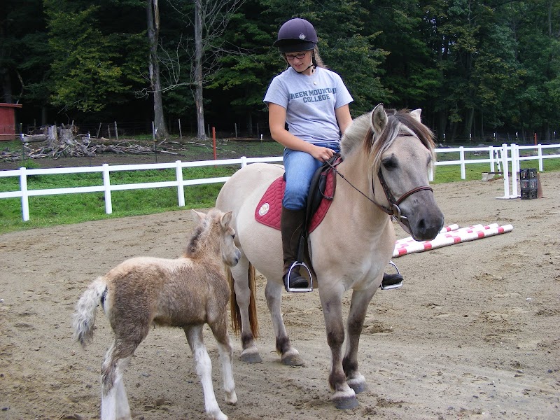 Blue Heron Farm, Charlemont MA 01339 - Photo 1