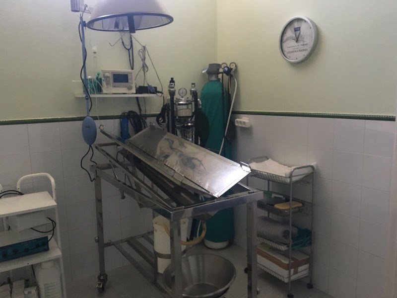 Centro Veterinario Sanxenxo photo 4