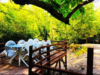 DEĞİRMEN ALABALIK RESTAURANT - Restoran