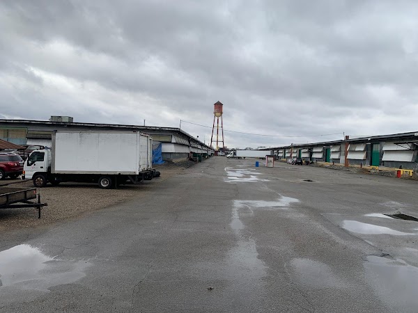 Photo by Tundra Wolf