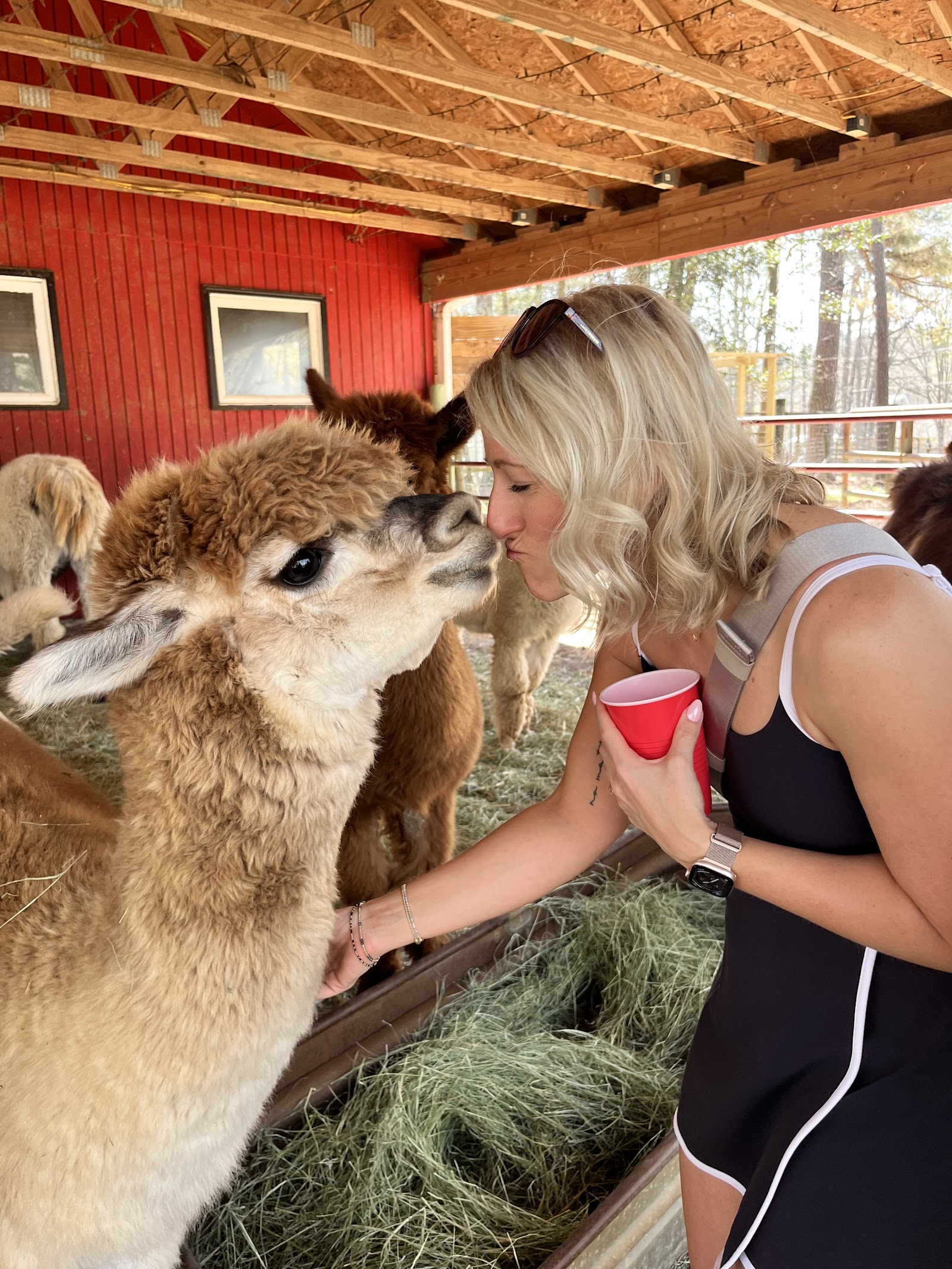 Creekwater Alpaca Farm