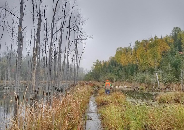Boundary Waters Grouse Lodge - Photo 5