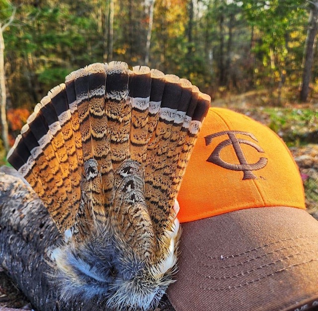 Boundary Waters Grouse Lodge