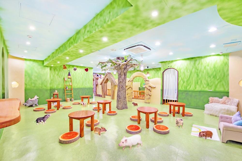 mipig cafe 原宿店 fotoğraf 1