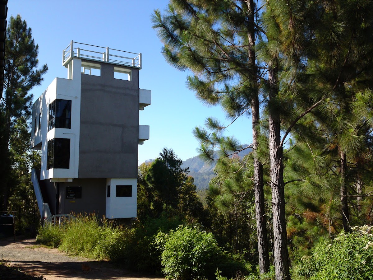 International Meditation Centre — 4