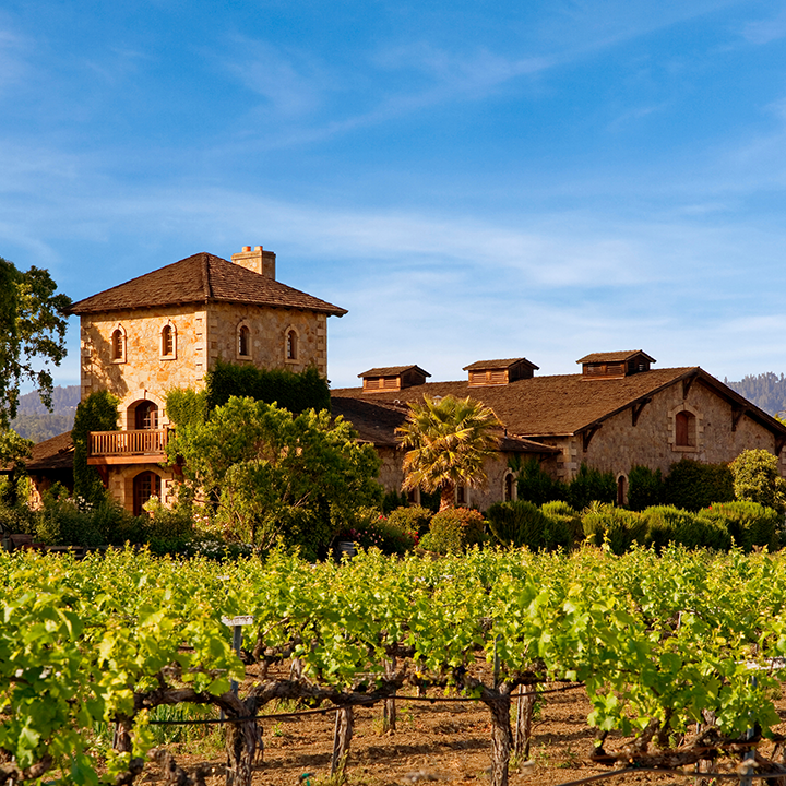 Classic Napa Valley winery grounds