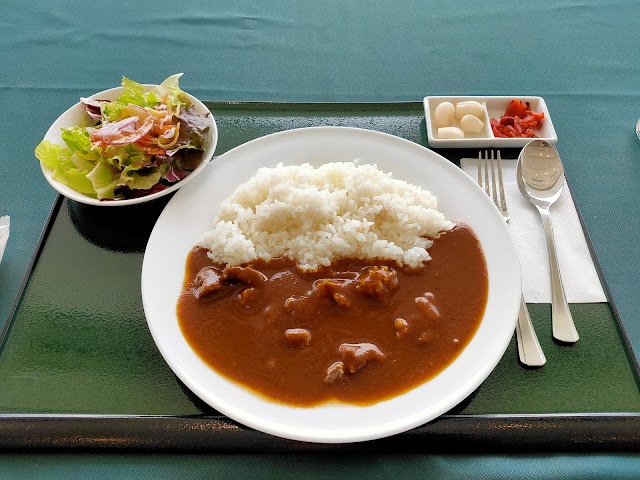 Karasuyama Castle Country Club - Photo 8