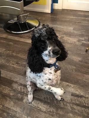 B.LOWE HAIR / ART SPACE photo 3