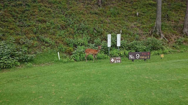 Minami Tochigi Golf Club - Photo 10