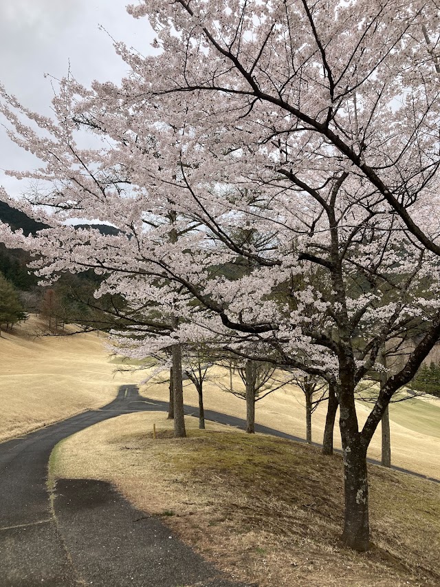 Minami Tochigi Golf Club - Photo 8