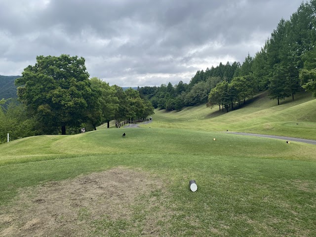 Minami Tochigi Golf Club - Photo 2