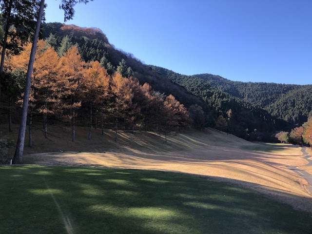 Minami Tochigi Golf Club - Photo 4
