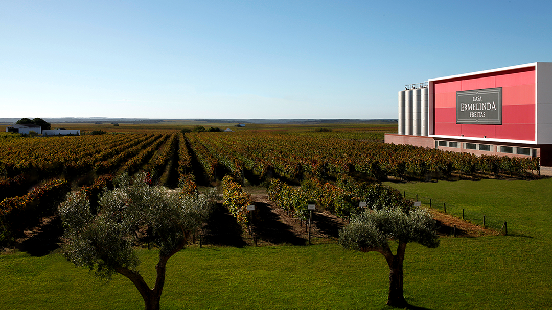 Casa Ermelinda Freitas - Vinhos