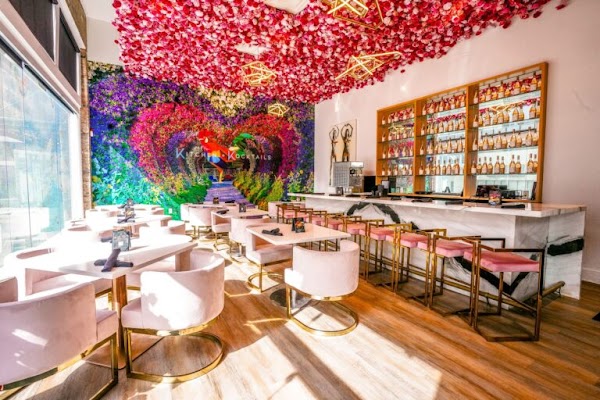 Kitchen + Kocktails Dallas