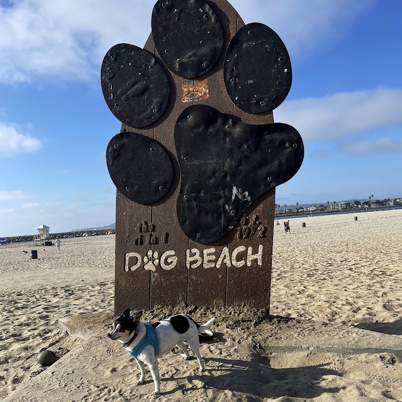 Dog Beach in San Diego