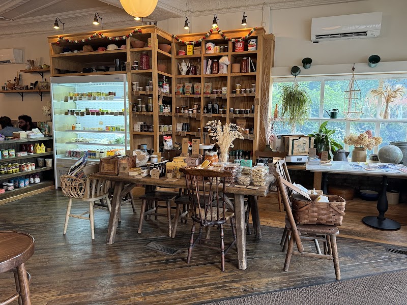 Rosie General photo 1