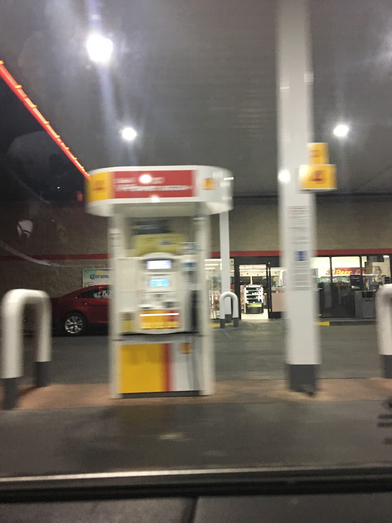 Shell photo 3