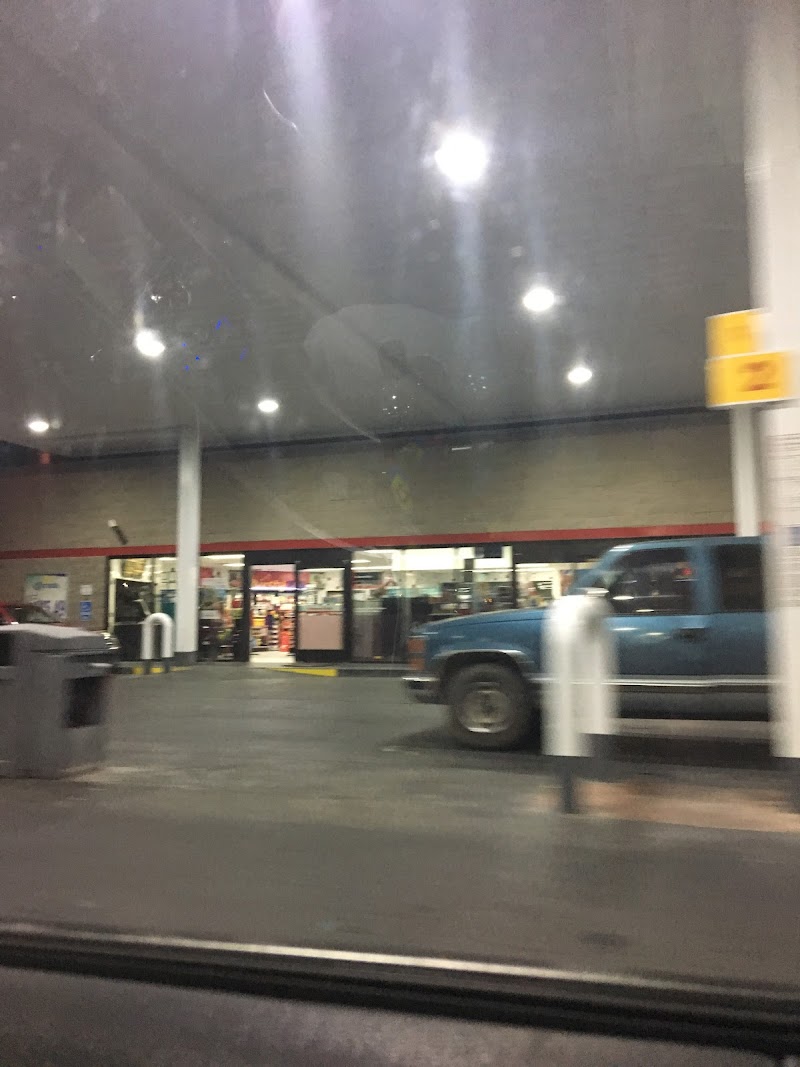 Shell photo 2