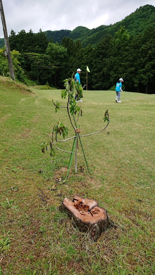 Fukuchiyama Higashi Golf Club - Photo 7