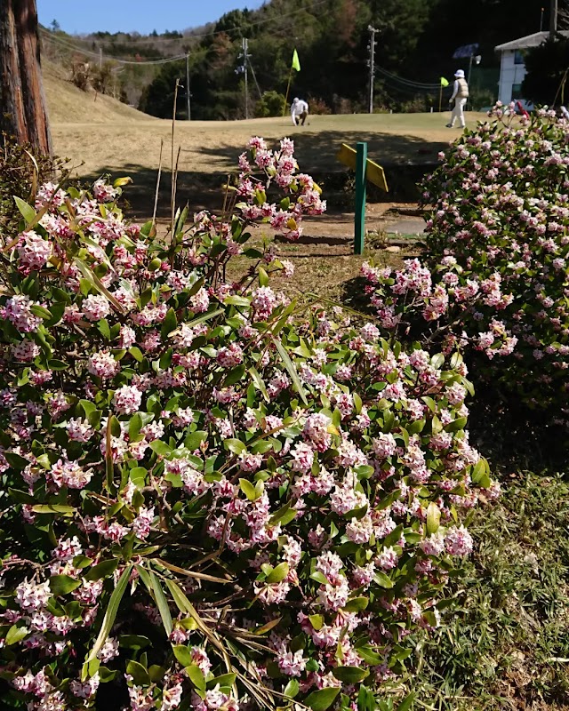 Fukuchiyama Higashi Golf Club - Photo 4