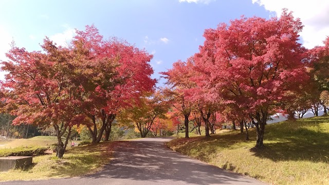 Takahara Golf Club - Photo 5