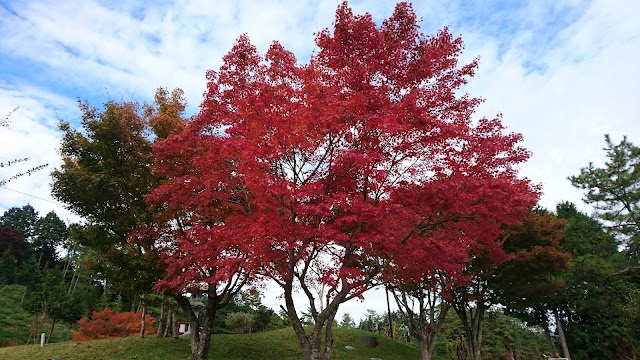 Takahara Golf Club - Photo 8