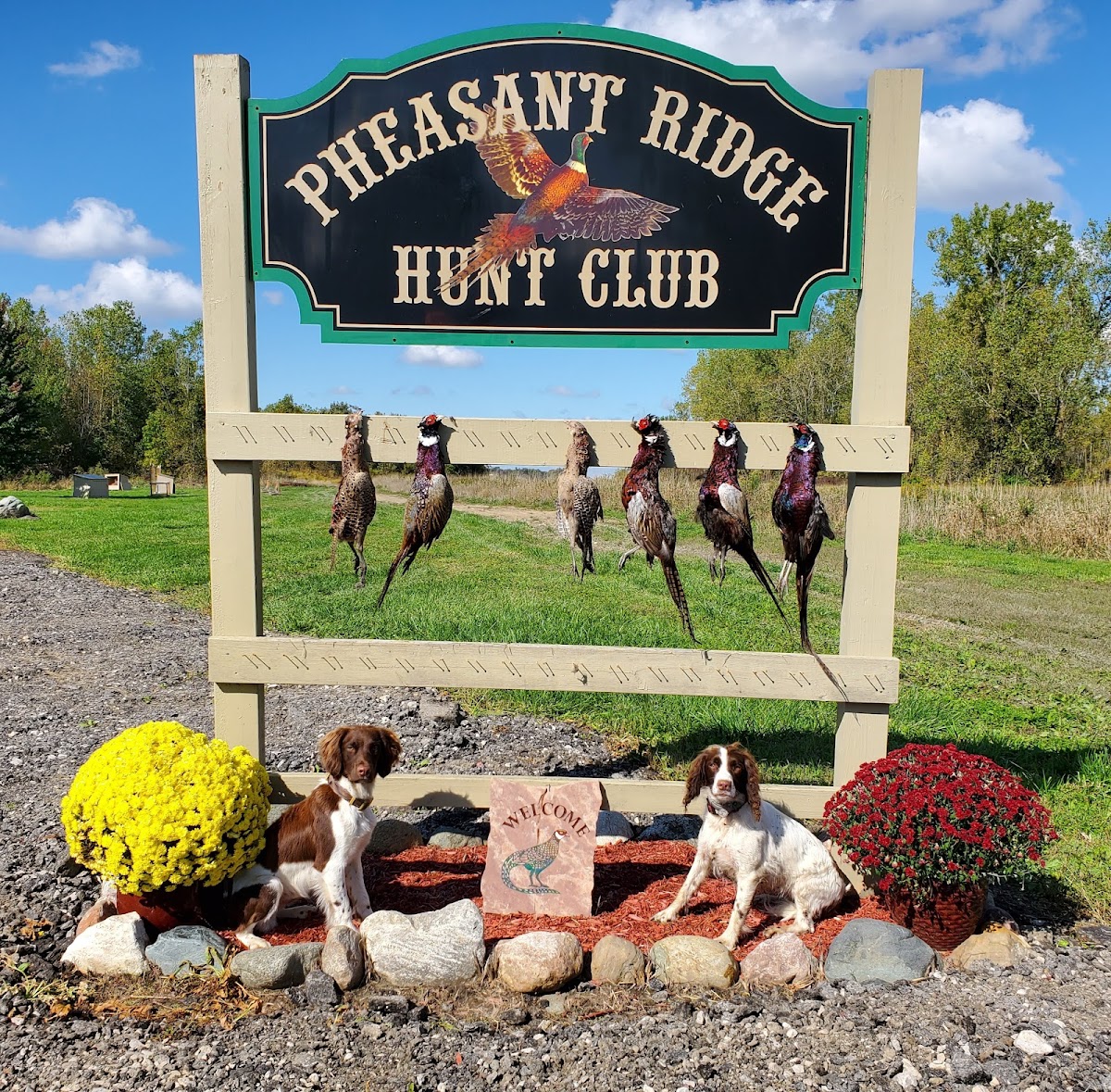 Pheasant Ridge Hunt Club