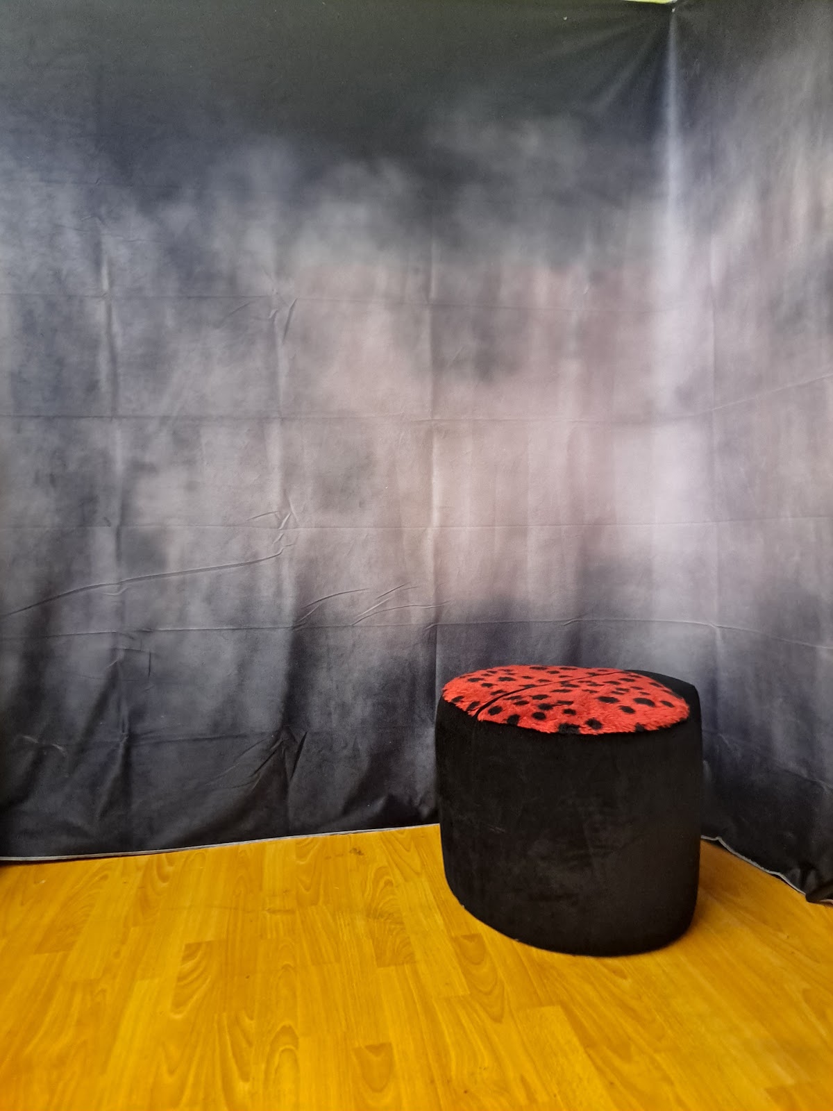 ORNELLA ENTERTAINMENT LLC: Google Places image 5
