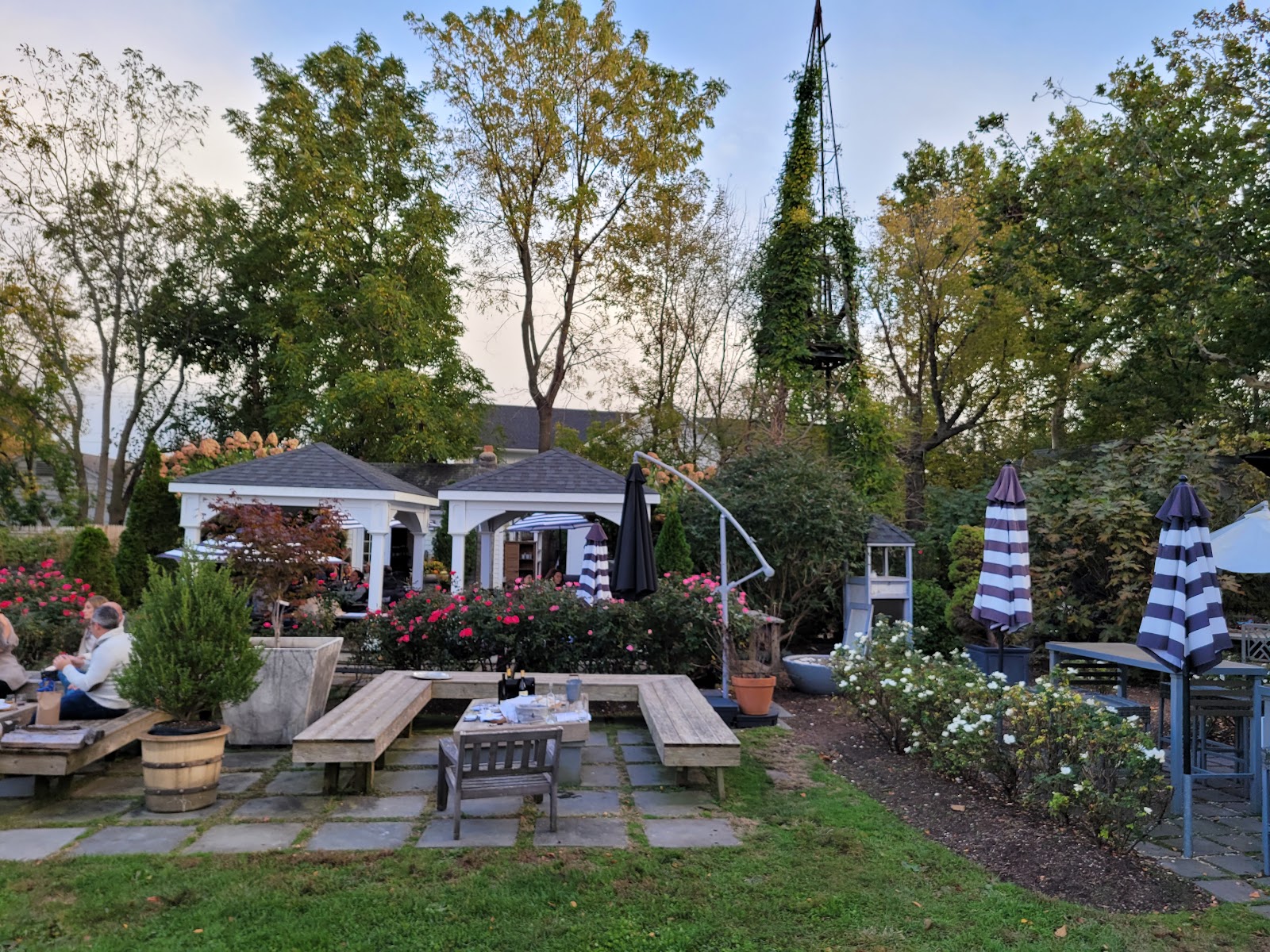 Mattebella Vineyards