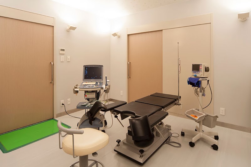 さかいARTクリニックの外観