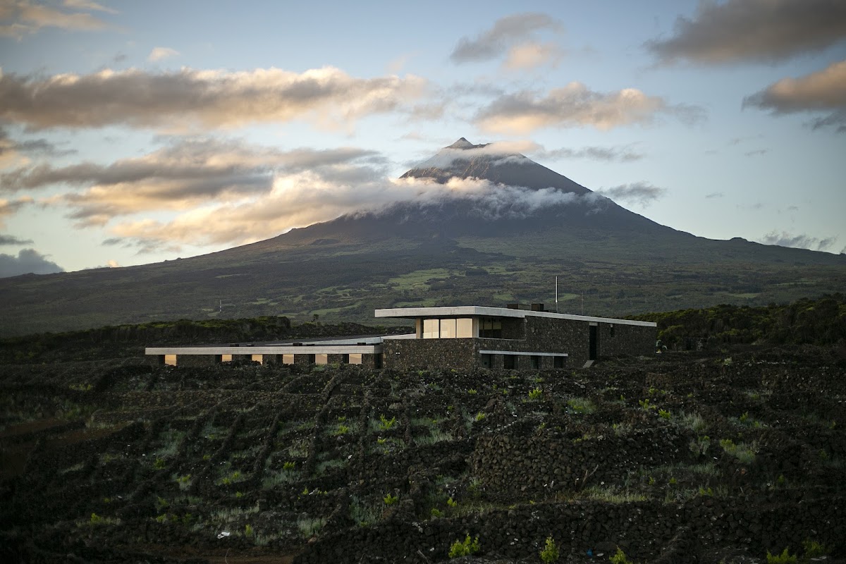 Azores Wine Company