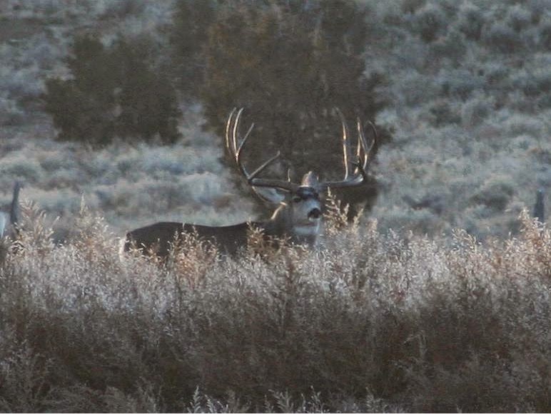 Four Aces Ranch & Outfitters - Photo 6