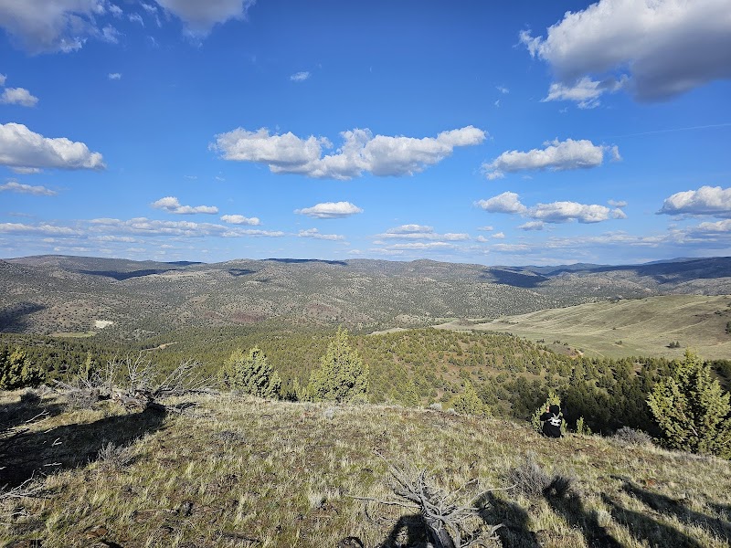 Four Aces Ranch & Outfitters - Photo 2