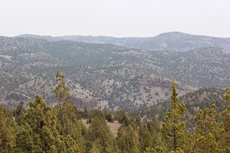 Four Aces Ranch & Outfitters - Photo 3
