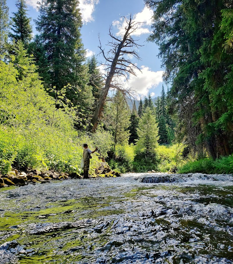 Flat Creek Ranch - Photo 6