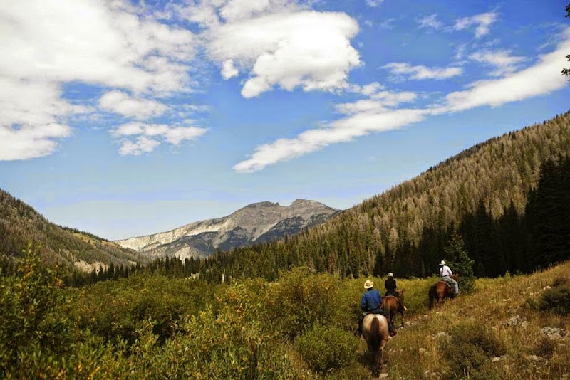 Flat Creek Ranch - Photo 5