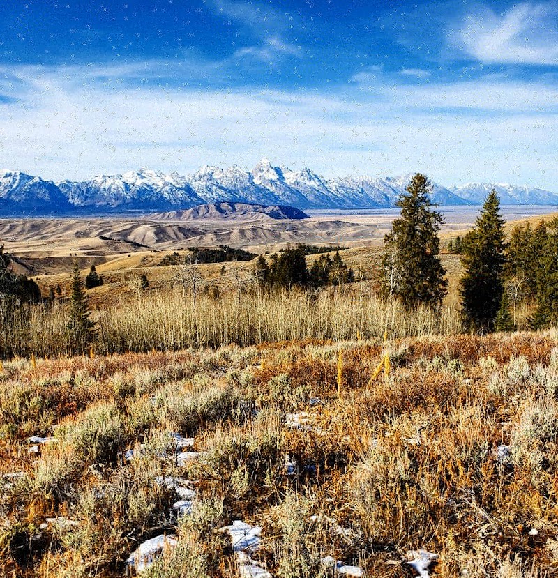 Flat Creek Ranch - Photo 4