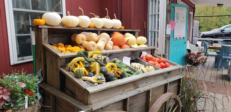 The Kitchen Garden photo 1