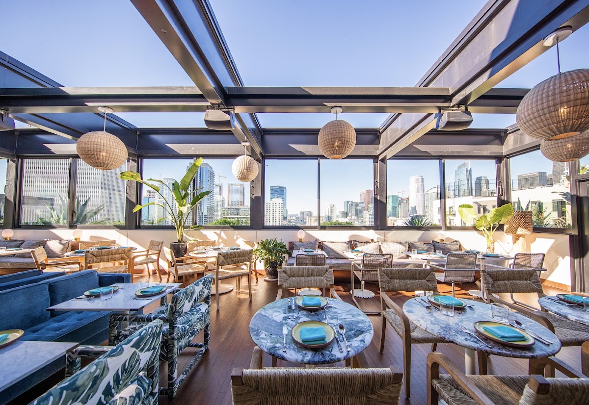 The Hoxton Downtown LA, dog-friendly hotel, photo 4