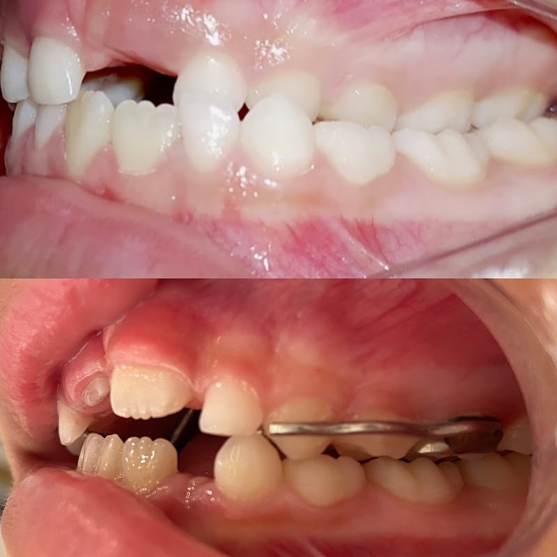 Dra Ágatha Teixeira (Ortodontia e Clínico Geral) - foto 2