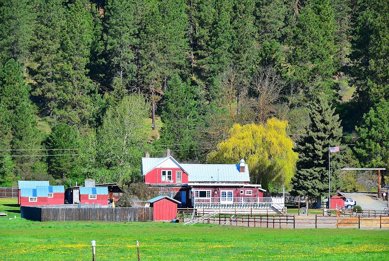 Flying Horseshoe Ranch - Photo 6