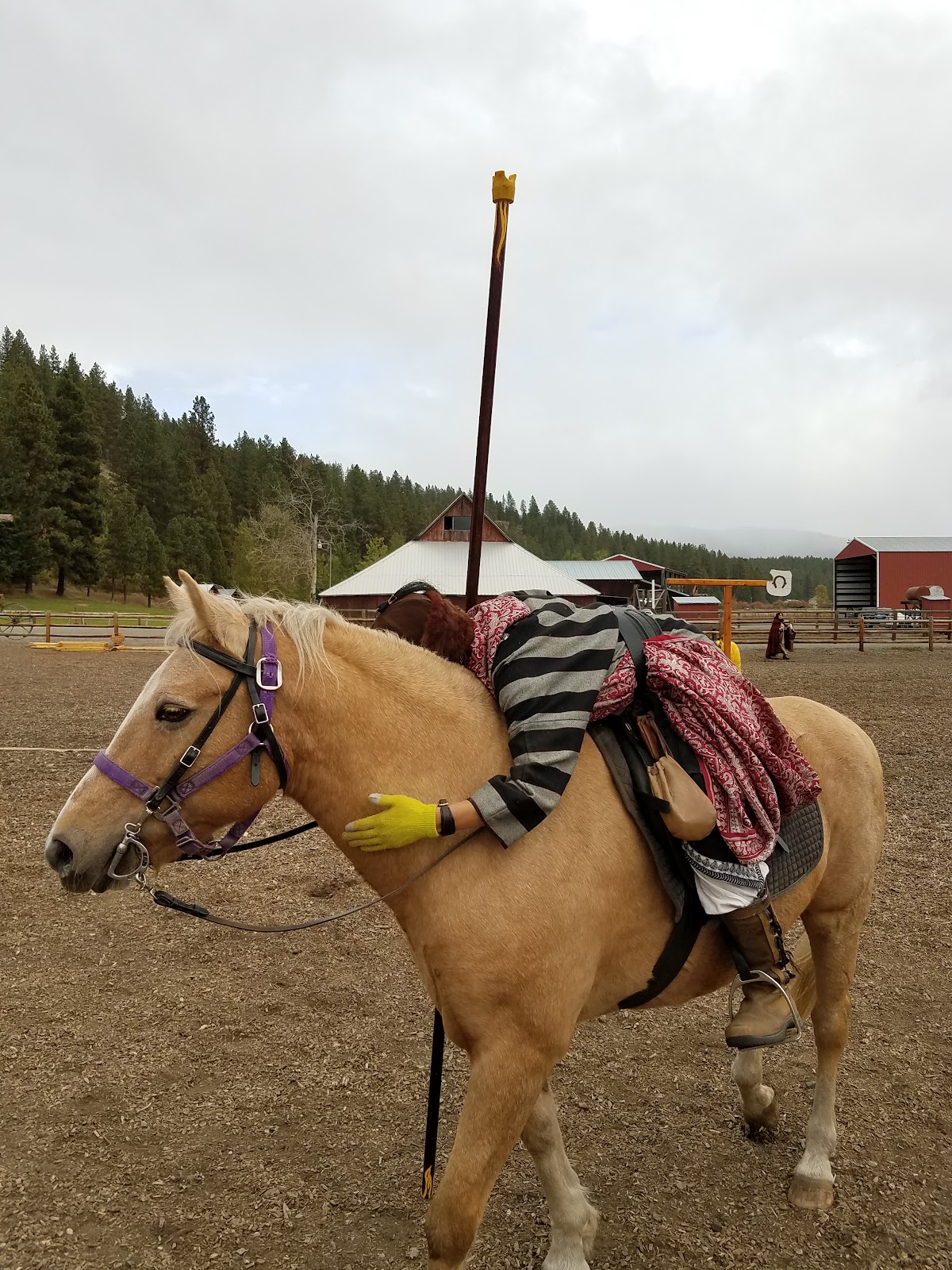 Flying Horseshoe Ranch