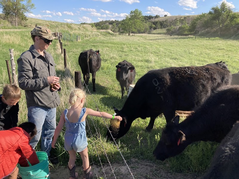 Smilin' Ranch Adventures - Photo 1